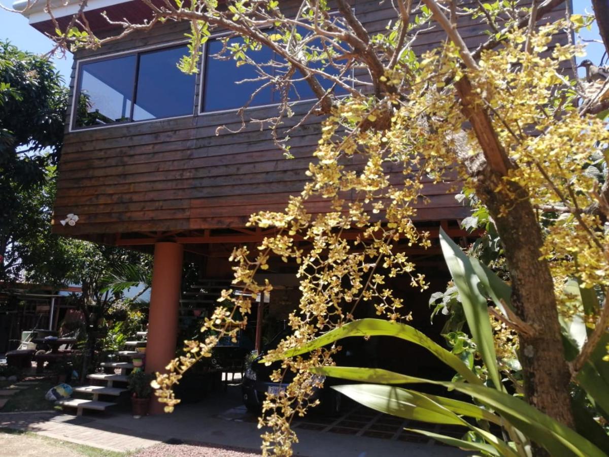 Casa Cora Apartment Heredia Luaran gambar
