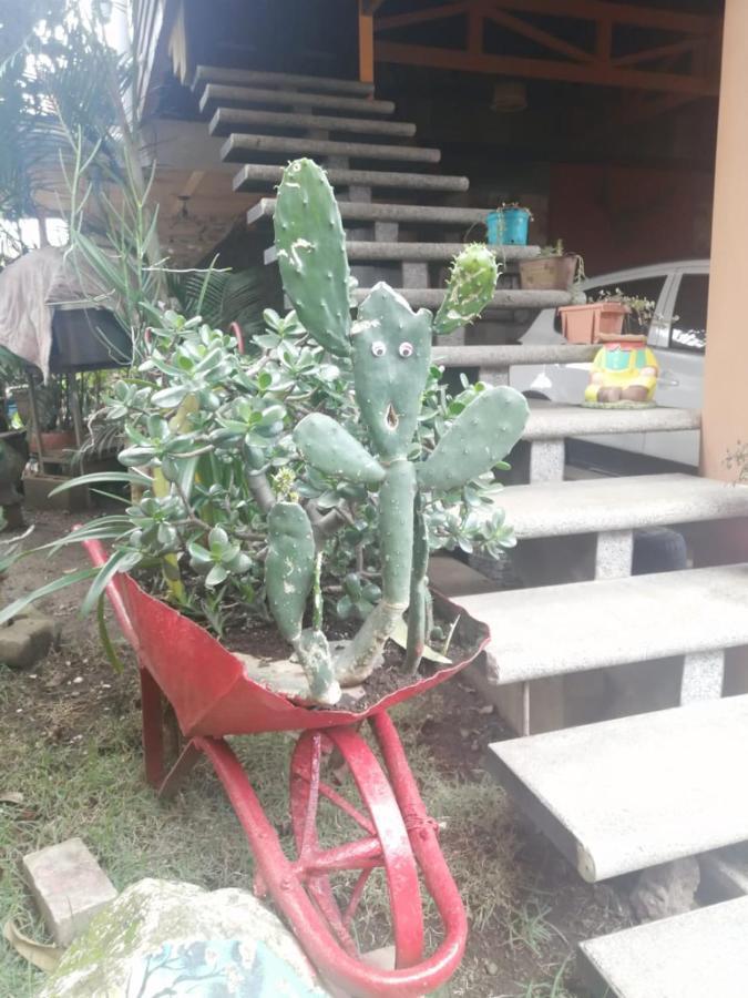 Casa Cora Apartment Heredia Luaran gambar