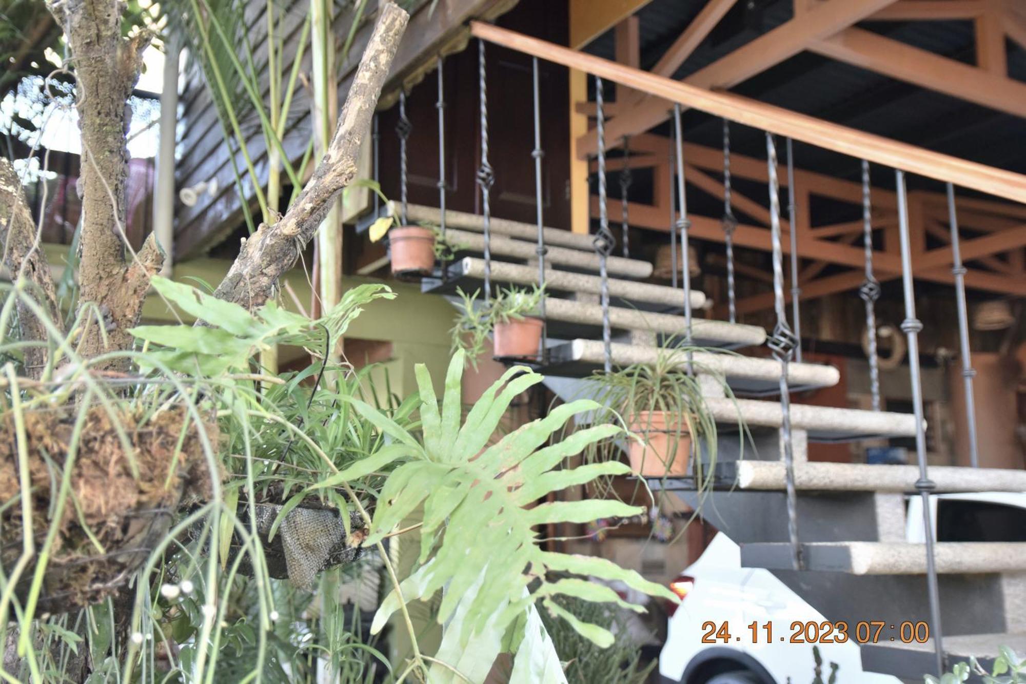 Casa Cora Apartment Heredia Luaran gambar